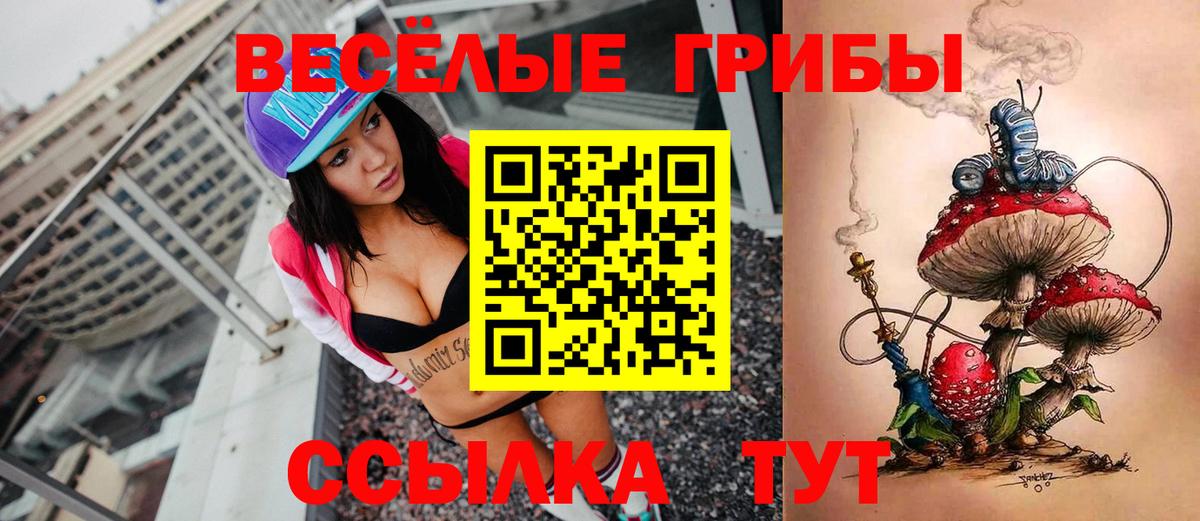 Псилоцибиновые грибы Cubensis Екатеринбург